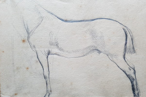 dessins